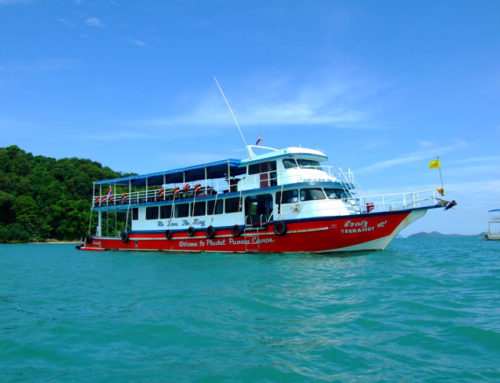 Phi Phi Island & Khai Island by Big Boat
