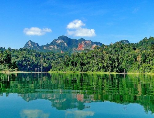 Khao Sok Cheow Lan 2 days and 1 night