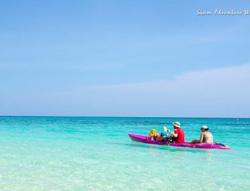 Koh Rok & Koh Haa From Khao Lak 5 Star Service