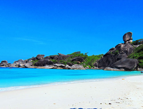 3 Days 2 Nights Trip Similan Island From Phuket