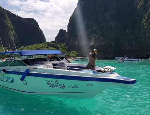 Phi Phi islands Trip by speedboat From Krabi