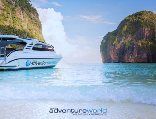 PHI PHI ISLANDS 9:00 AM FROM PHUKET 5 STAR SERVICE